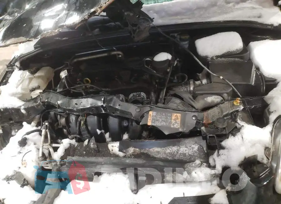 1FADP3F22EL308161 Photo# 11