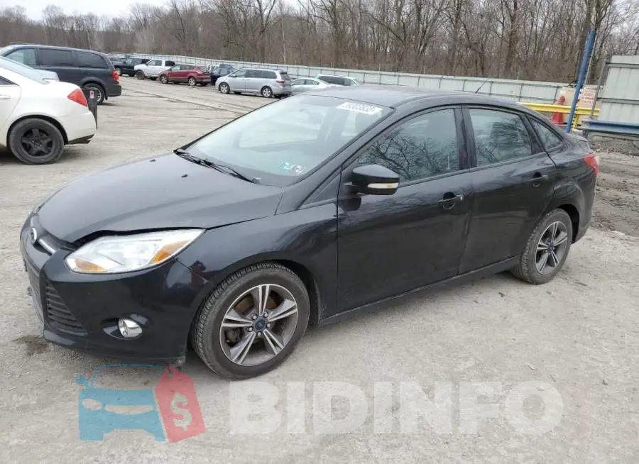 1FADP3F24EL449426 Photo# 1