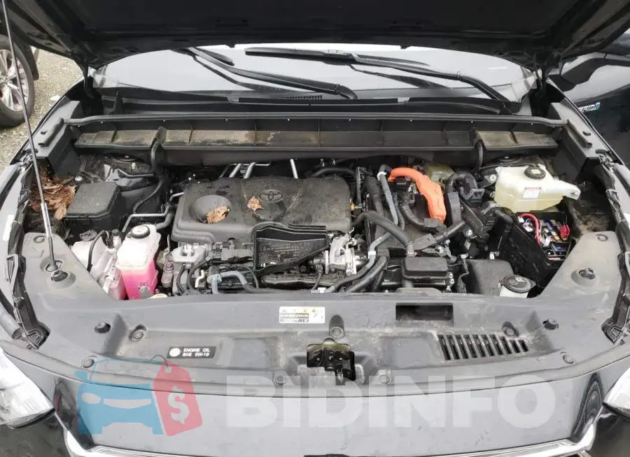5TDDBRCHXMS522669 Photo# 12
