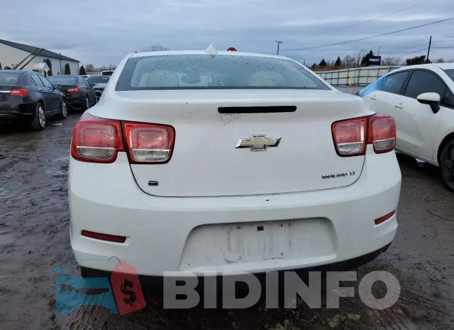 1G11D5SL1FF221344 Photo# 6