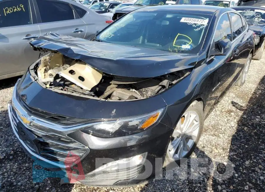1G1ZD5ST8LF078777 Photo# 2