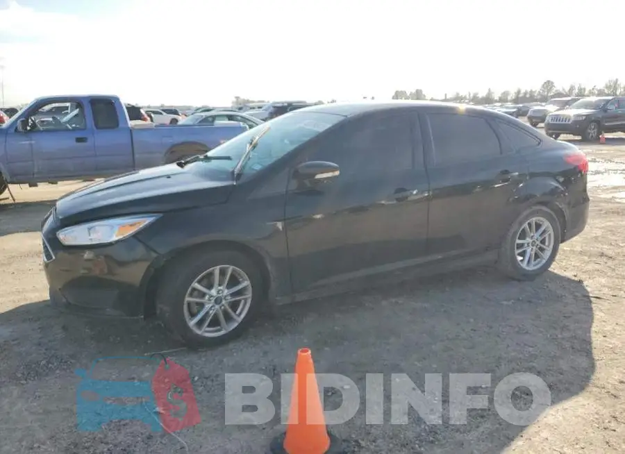 1FADP3F29GL319841 Photo# 1