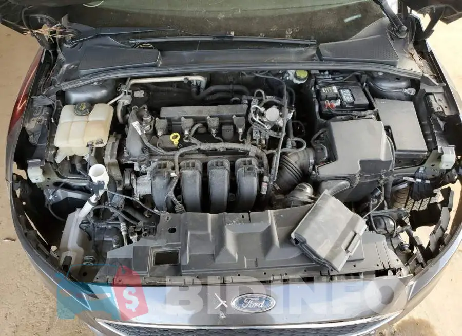 1FADP3F2XGL336244 Photo# 11