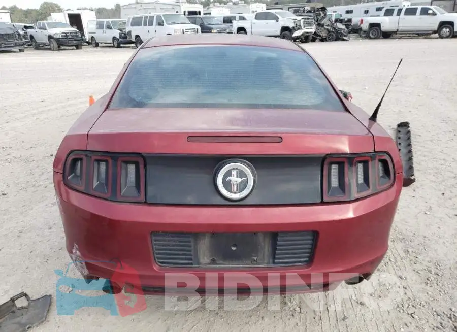 1ZVBP8AM4E5309403 Photo# 6