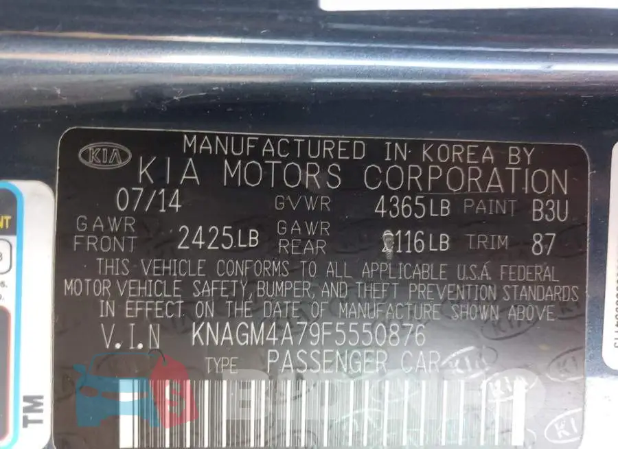 KNAGM4A79F5550876 Photo# 12