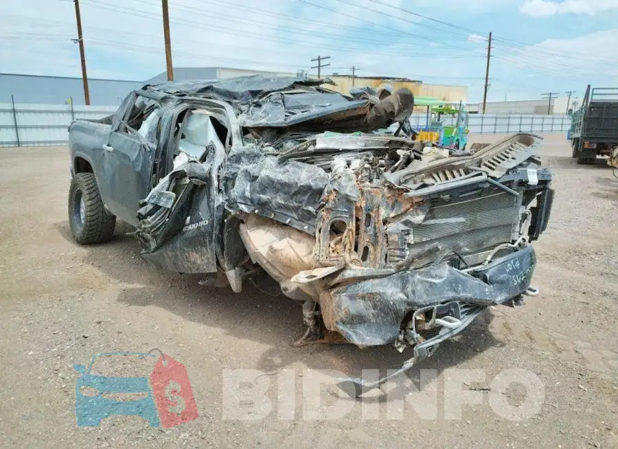 1GC4YREY6LF159250 Photo# 1