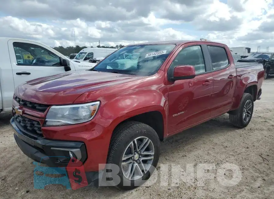 1GCGTCEN6M1113334 Photo# 1