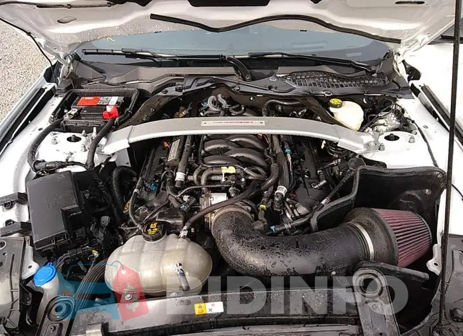 1FA6P8JZ7L5550536 Photo# 10