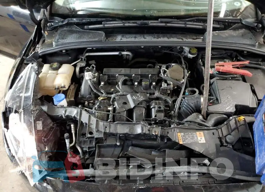 1FADP3E2XGL236503 Photo# 11