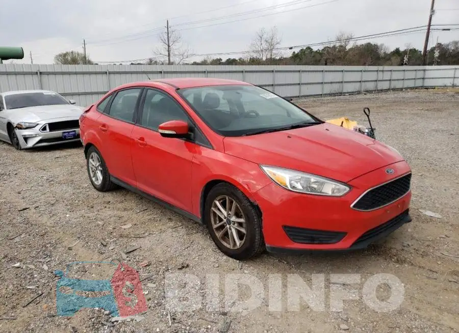 1FADP3F22GL204420 Photo# 4
