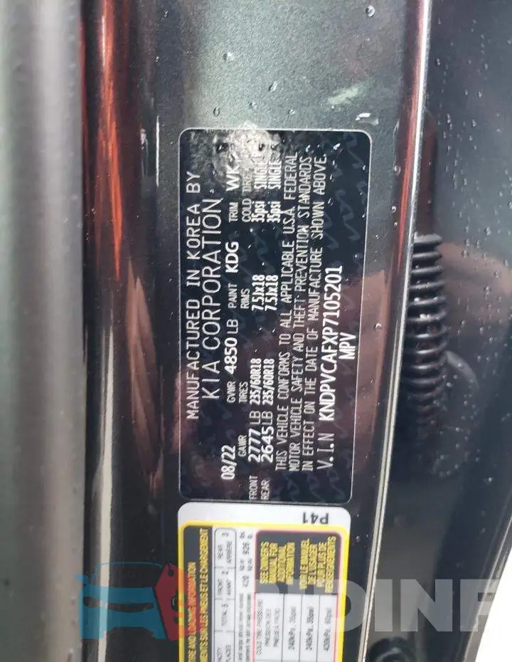 KNDPVCAFXP7105201 Photo# 13