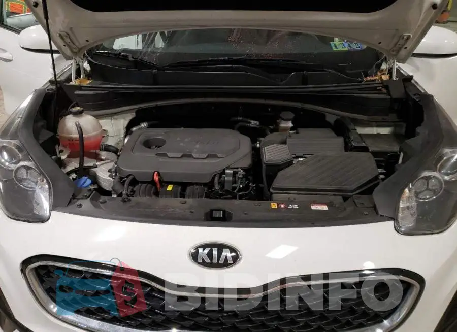 KNDPM3AC7M7906754 Photo# 12