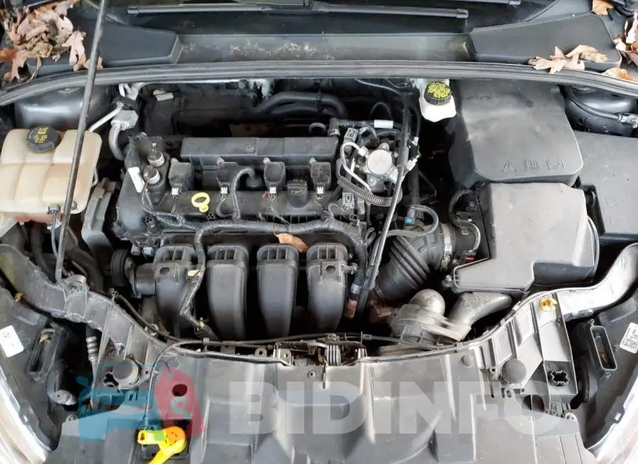 1FADP3F22JL237134 Photo# 11