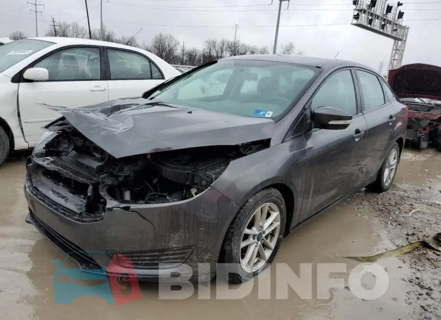 1FADP3F2XFL242556 Photo# 1