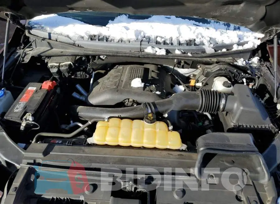 1FTEW1EG4GFA63433 Photo# 11
