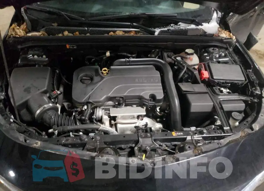 1G1ZD5ST1LF095761 Photo# 11