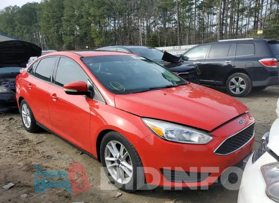 1FADP3F29GL294634 Photo# 4