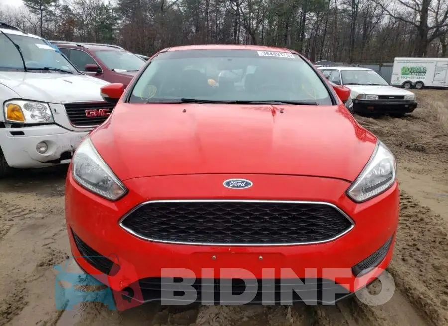 1FADP3F29GL294634 Photo# 5