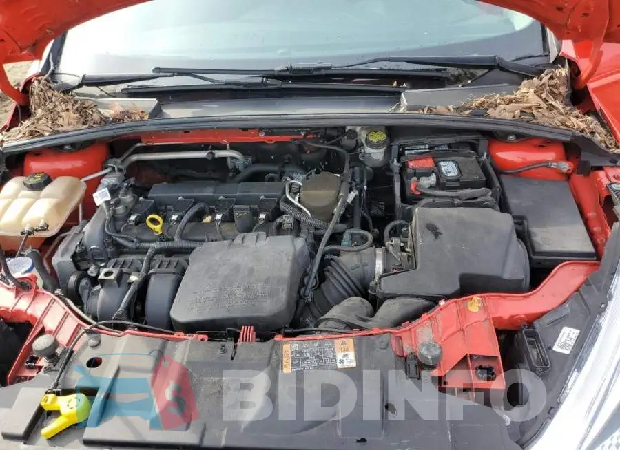 1FADP3F29GL294634 Photo# 11