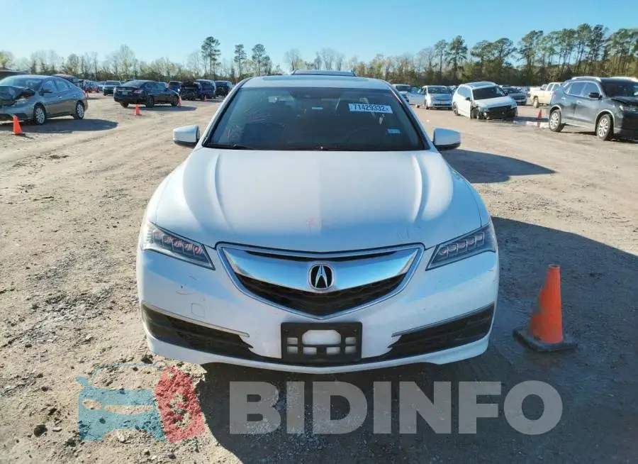 19UUB2F51GA007927 Photo# 5