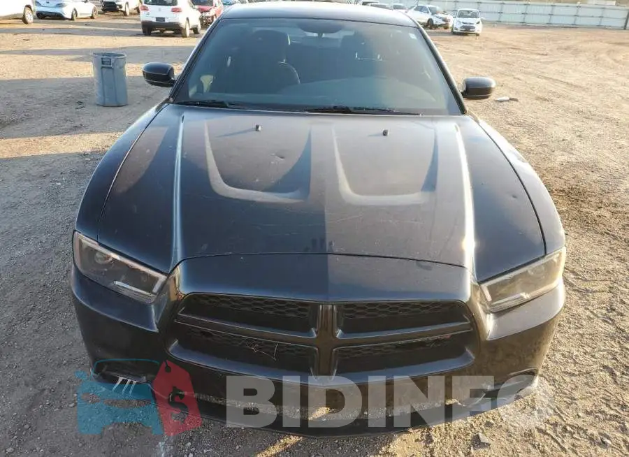 2C3CDXAT4EH358485 Photo# 5