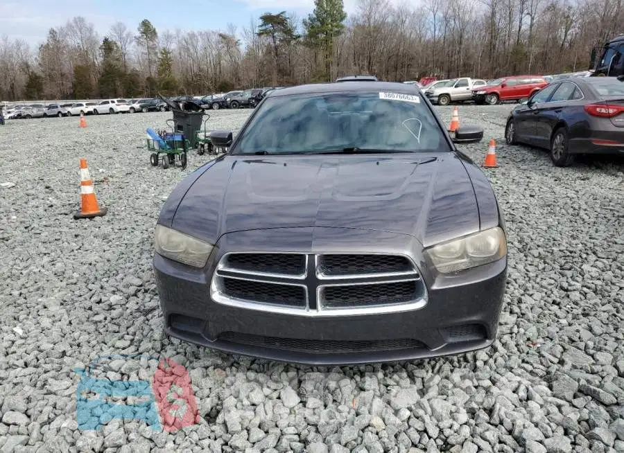 2C3CDXBG2EH174065 Photo# 5