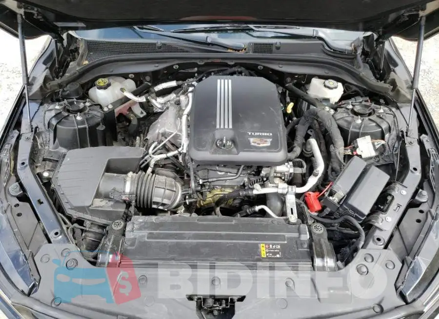 1G6DP5RK6L0120004 Photo# 11