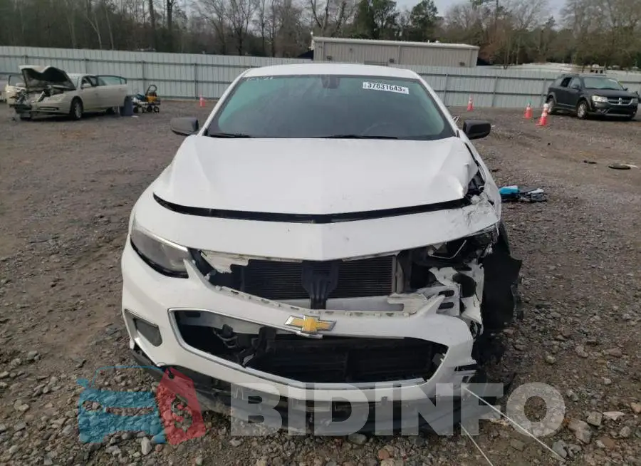 1G1ZB5ST9JF262564 Photo# 5