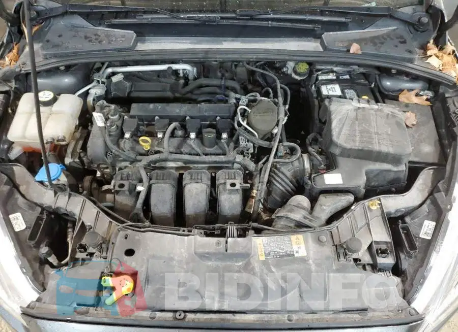 1FADP3E22FL262172 Photo# 11