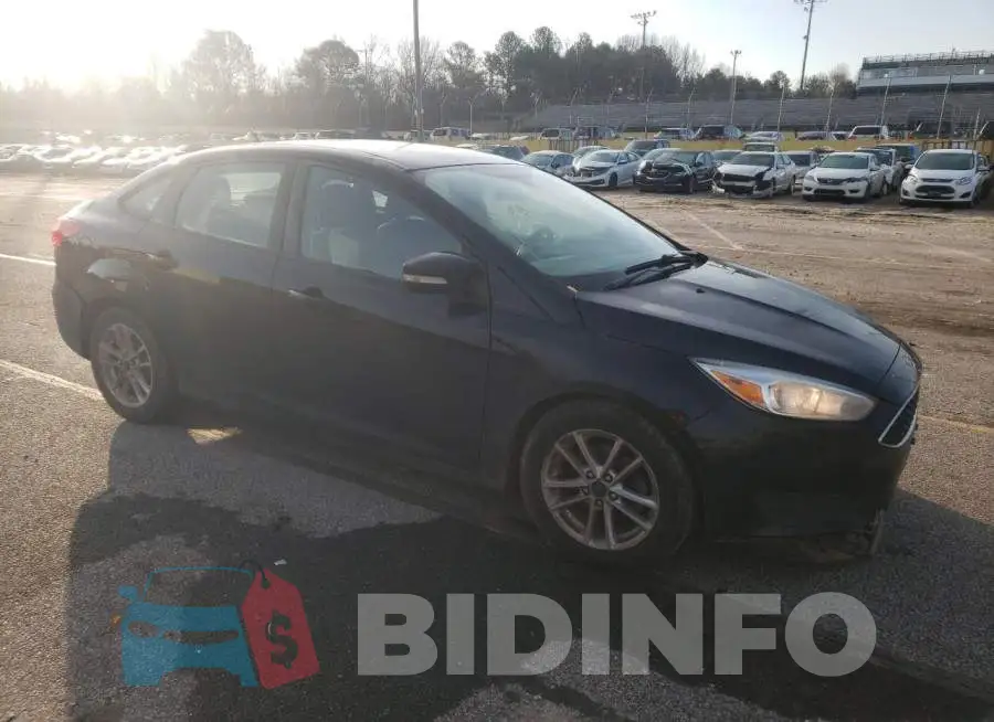 1FADP3F24GL269981 Photo# 4