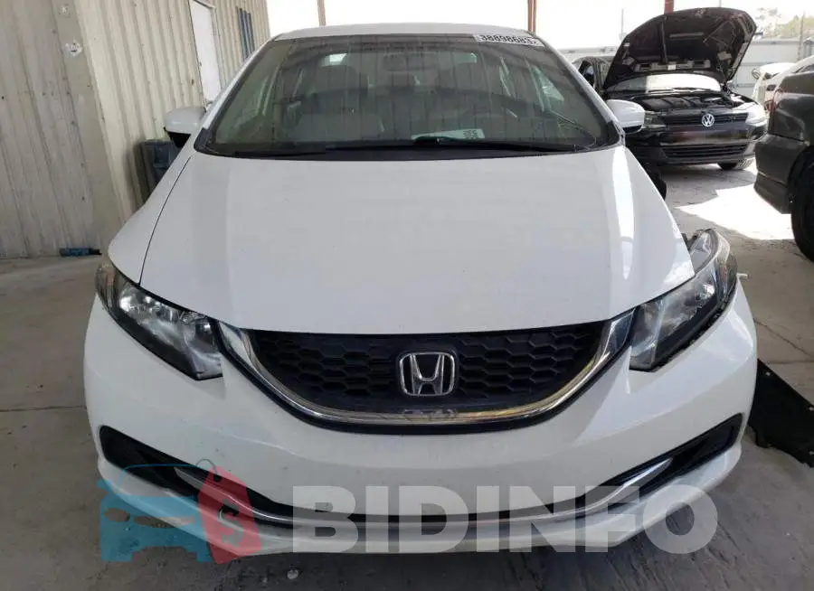 19XFB2F73FE053019 Photo# 5