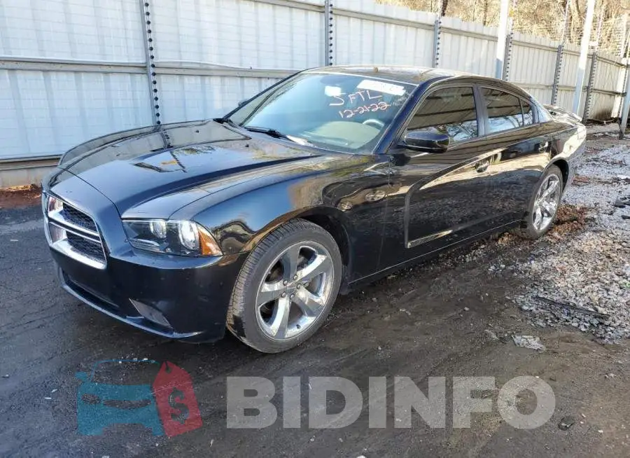 2C3CDXBG2EH338642 Photo# 1