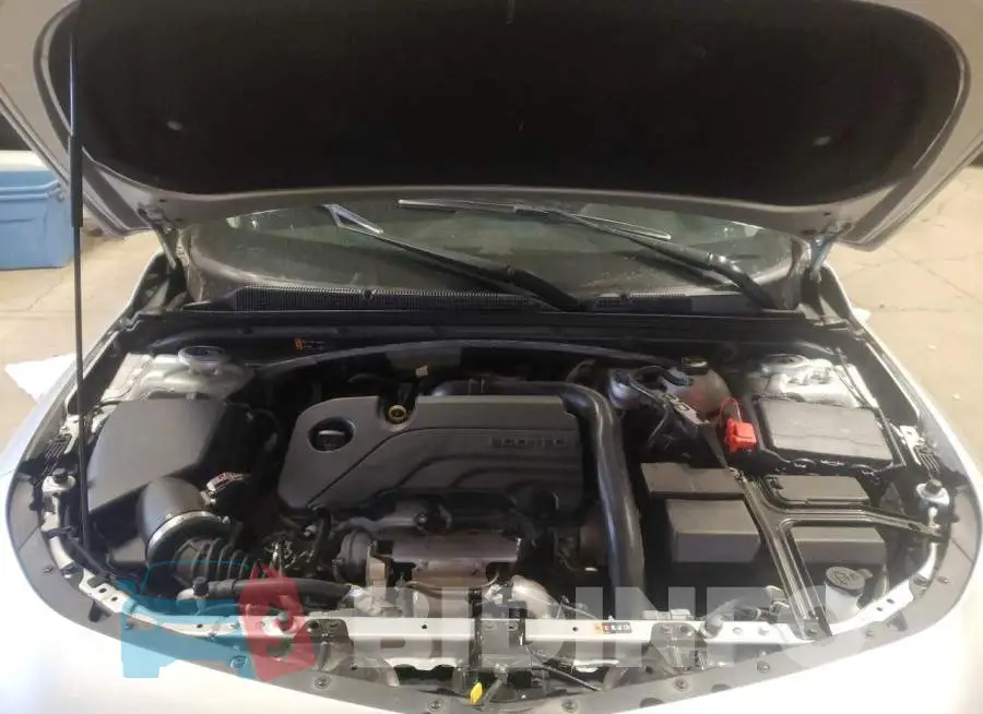 1G1ZD5ST7KF173863 Photo# 11