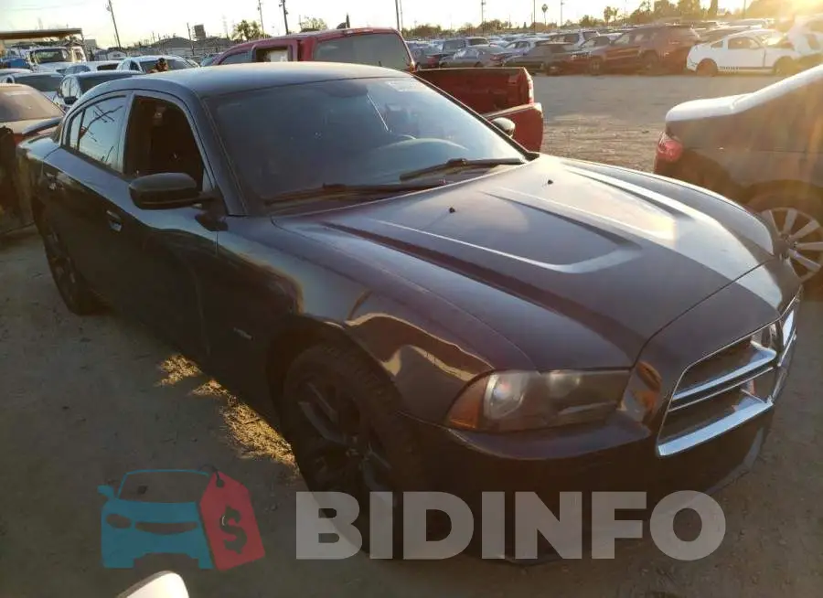 2C3CDXBG1EH143731 Photo# 4