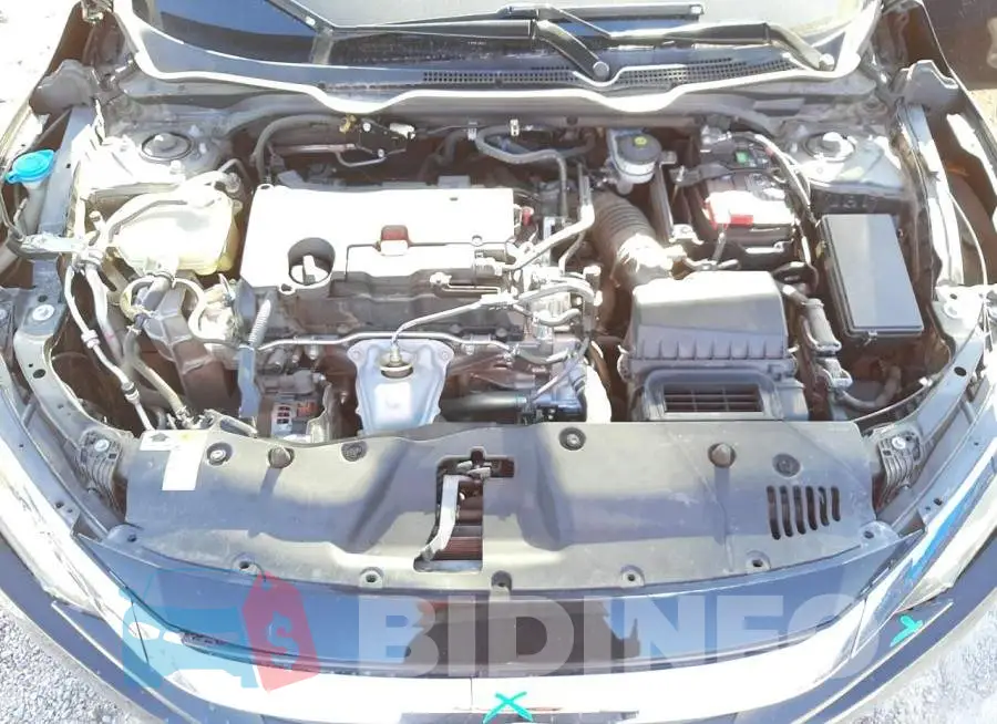 19XFC2F56GE001185 Photo# 7