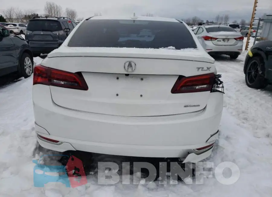 19UUB3F51FA803016 Photo# 6