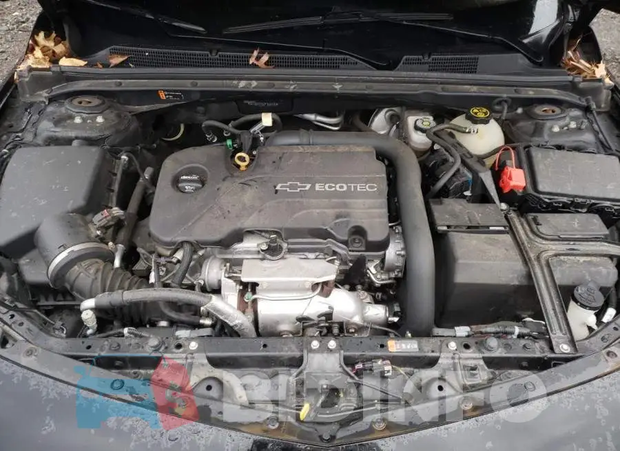 1G1ZD5ST0JF102910 Photo# 11