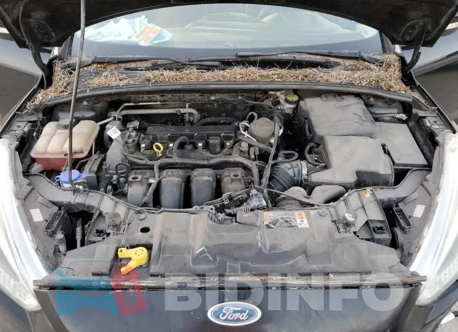 1FADP3F20GL314852 Photo# 7