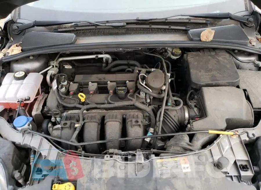 1FADP3F24EL164998 Photo# 11