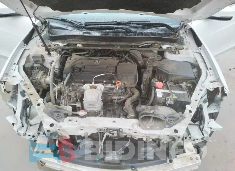 19UUB1F59KA000114 Photo# 11