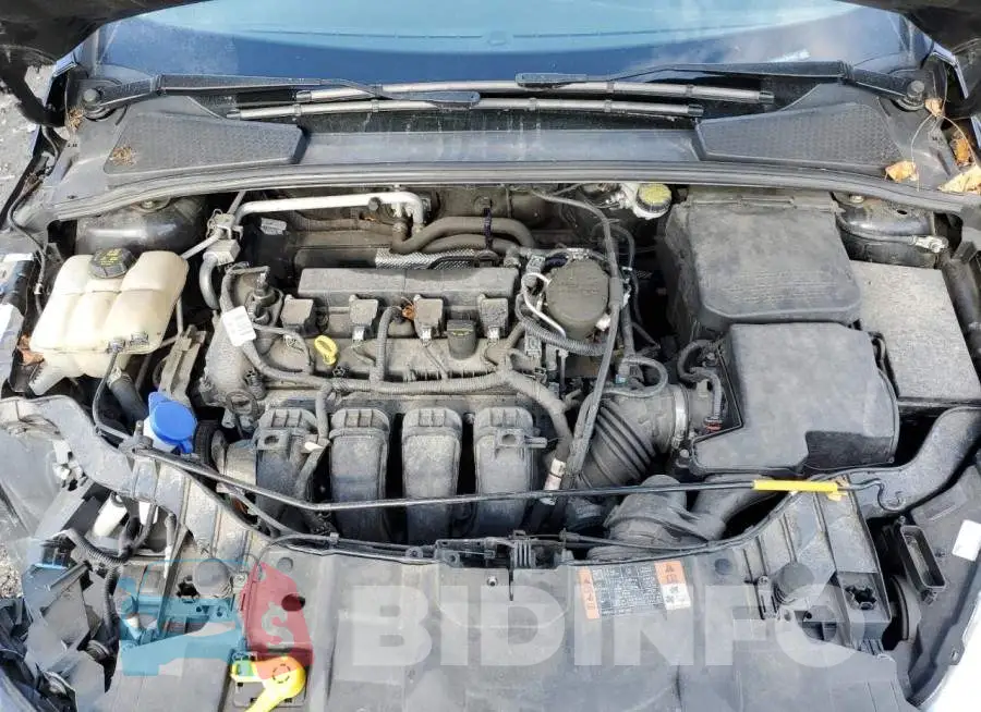 1FADP3F24FL317042 Photo# 11