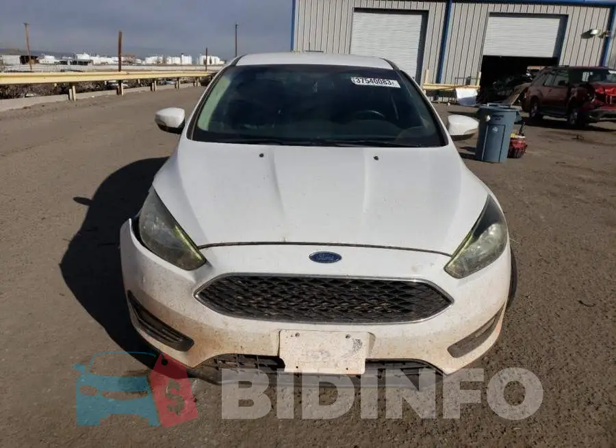 1FADP3F26GL360718 Photo# 5