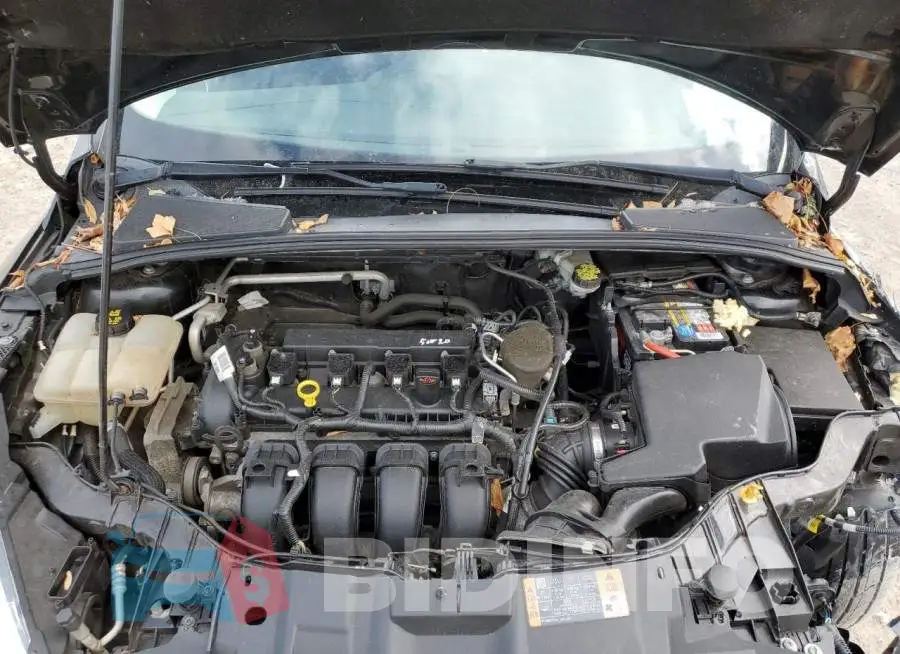 1FADP3K2XFL289933 Photo# 12