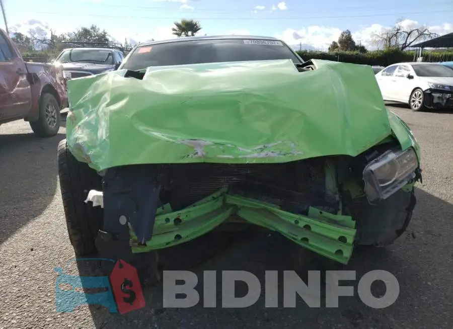 1ZVBP8AMXE5206227 Photo# 5