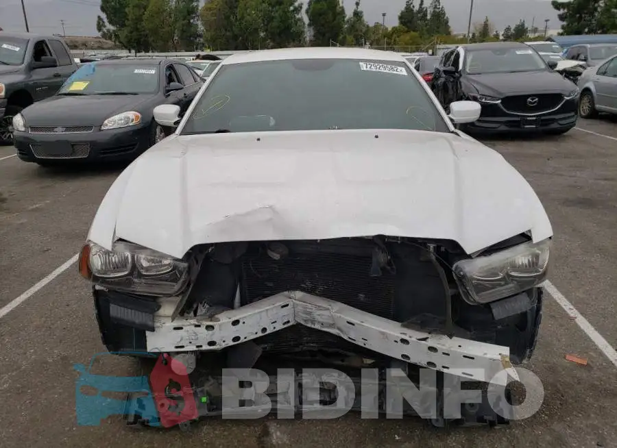 2C3CDXBG8EH245446 Photo# 5