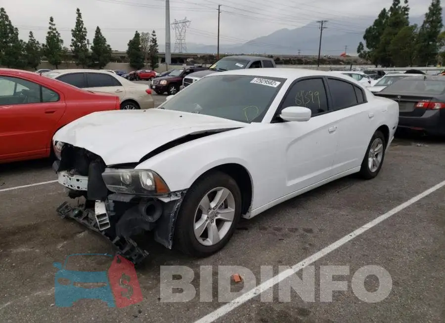 2C3CDXBG8EH245446 Photo# 1