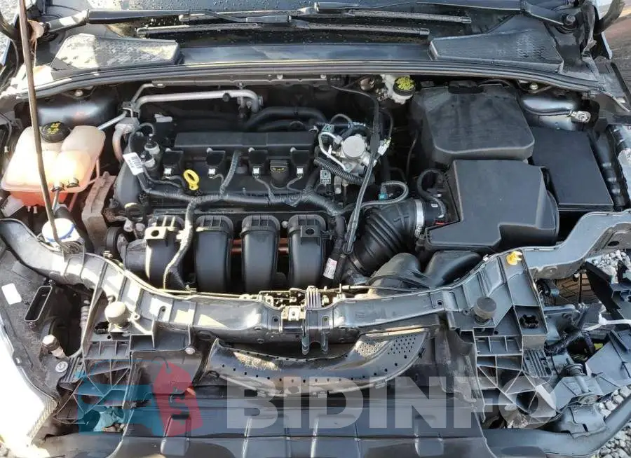 1FADP3K21GL352242 Photo# 11