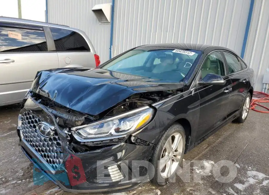 5NPE34AF6KH761788 Photo# 2