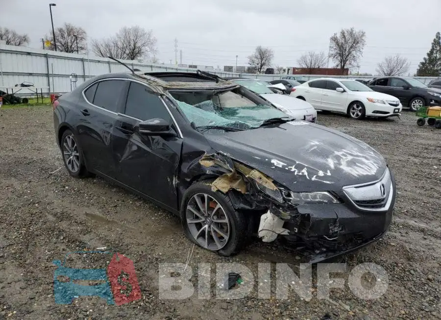 19UUB2F31FA026085 Photo# 4