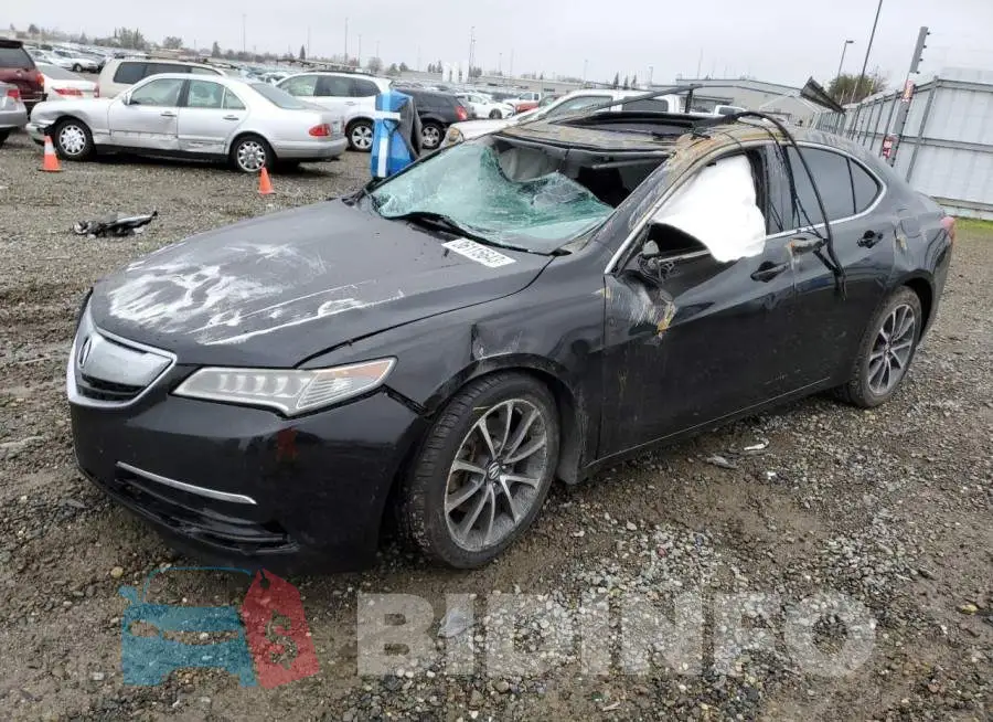 19UUB2F31FA026085 Photo# 1